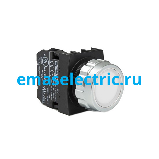 H100DB Кнопка (1НО), белый цвет, серия H (30мм) (250В AC, 4А), IP50