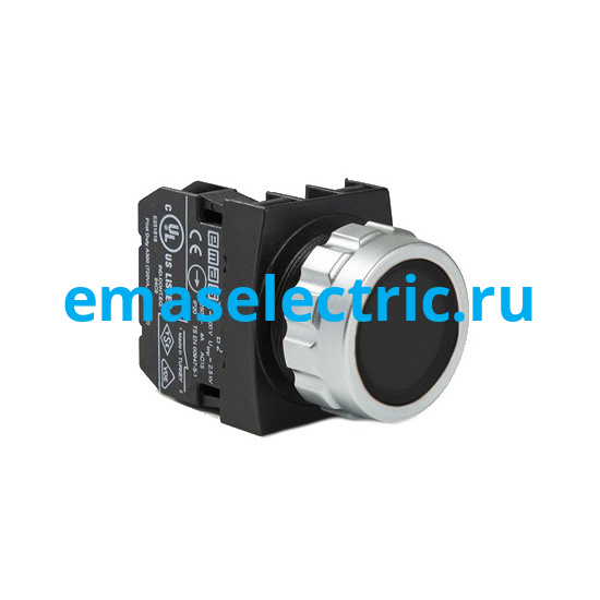 H100DH Кнопка (1НО), чёрный цвет, серия H (30мм) (250В AC, 4А), IP50