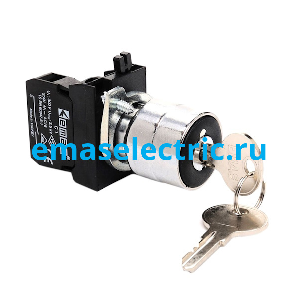 CM100AA20 Селекторный переключатель с ключом Ø22 мм. в металл. корпусе (0-I) с фиксацией, ключ выним. в полож. 0 (1НО) IP65 CM100AA20 Селекторный переключатель с ключом Ø22 мм. в металл. корпусе (0-I) с фиксацией, ключ выним. в полож. 0 (1НО) IP65